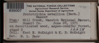 Image Associated With the Occurence